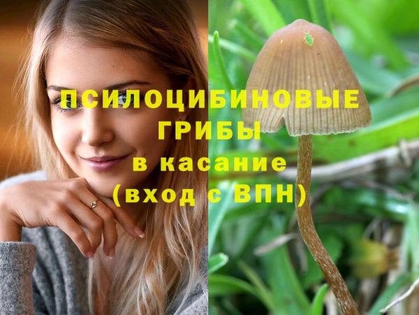 винт Новокубанск