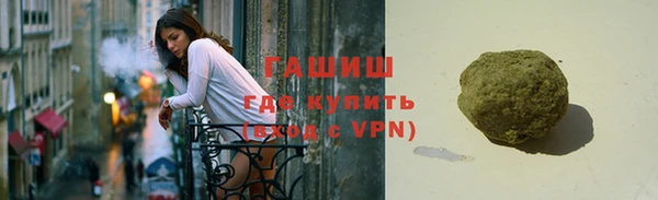 прущие грибы Новозыбков