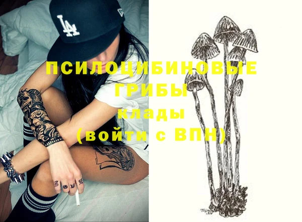 эйфоретик Белокуриха